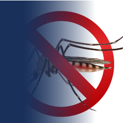 The fight against Malaria