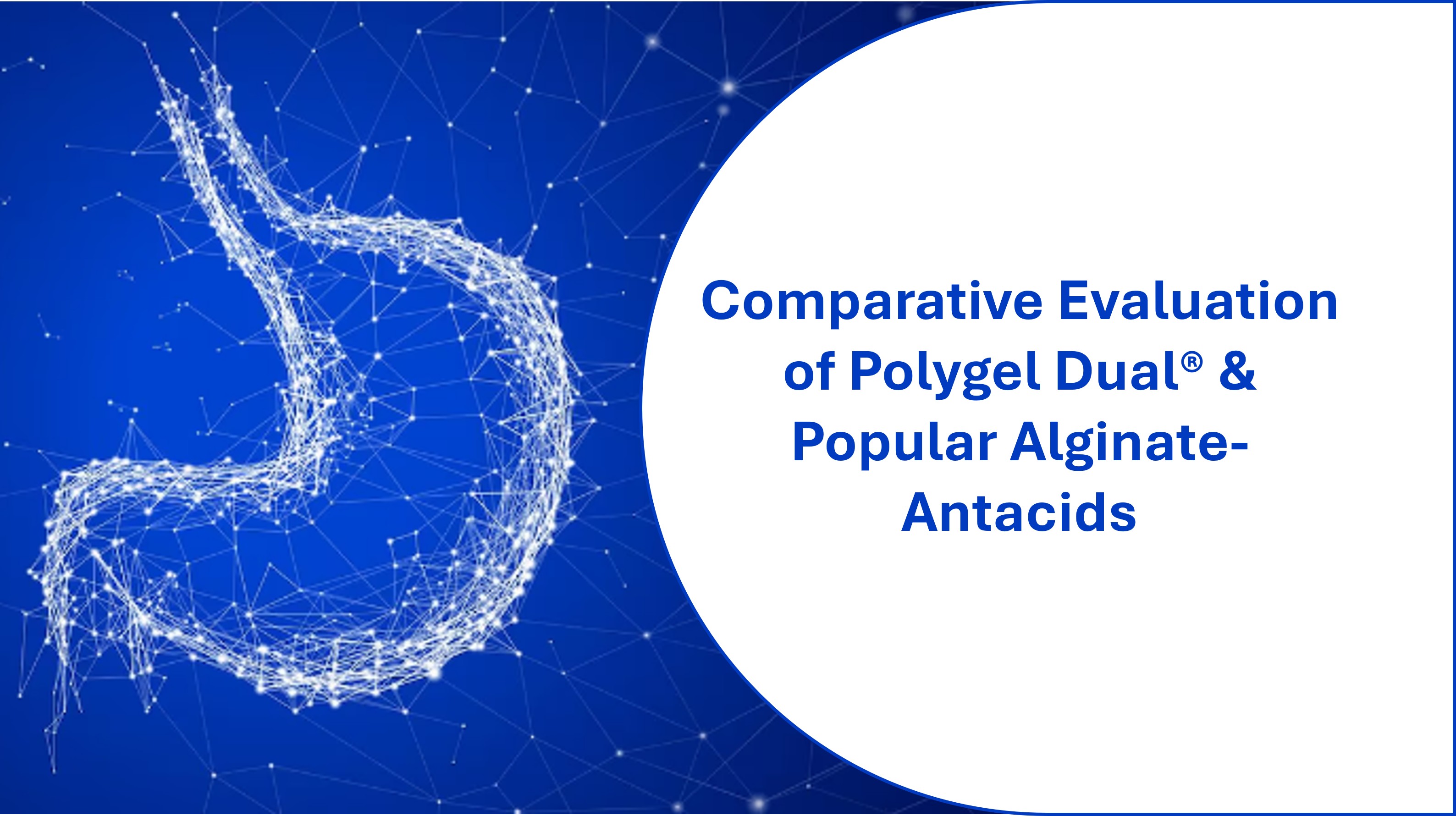 Polygel_detailed