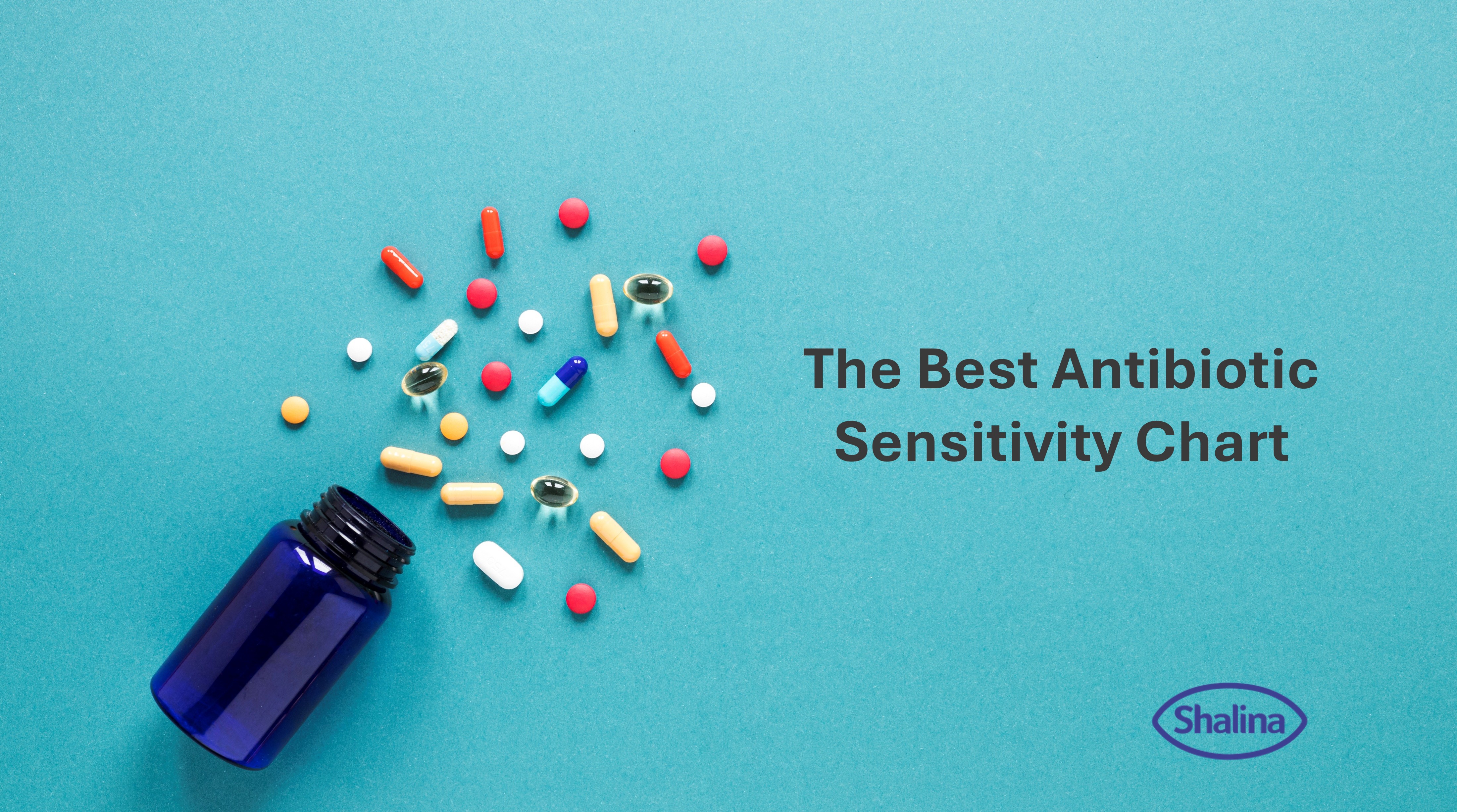 Best antibiotic_mobile