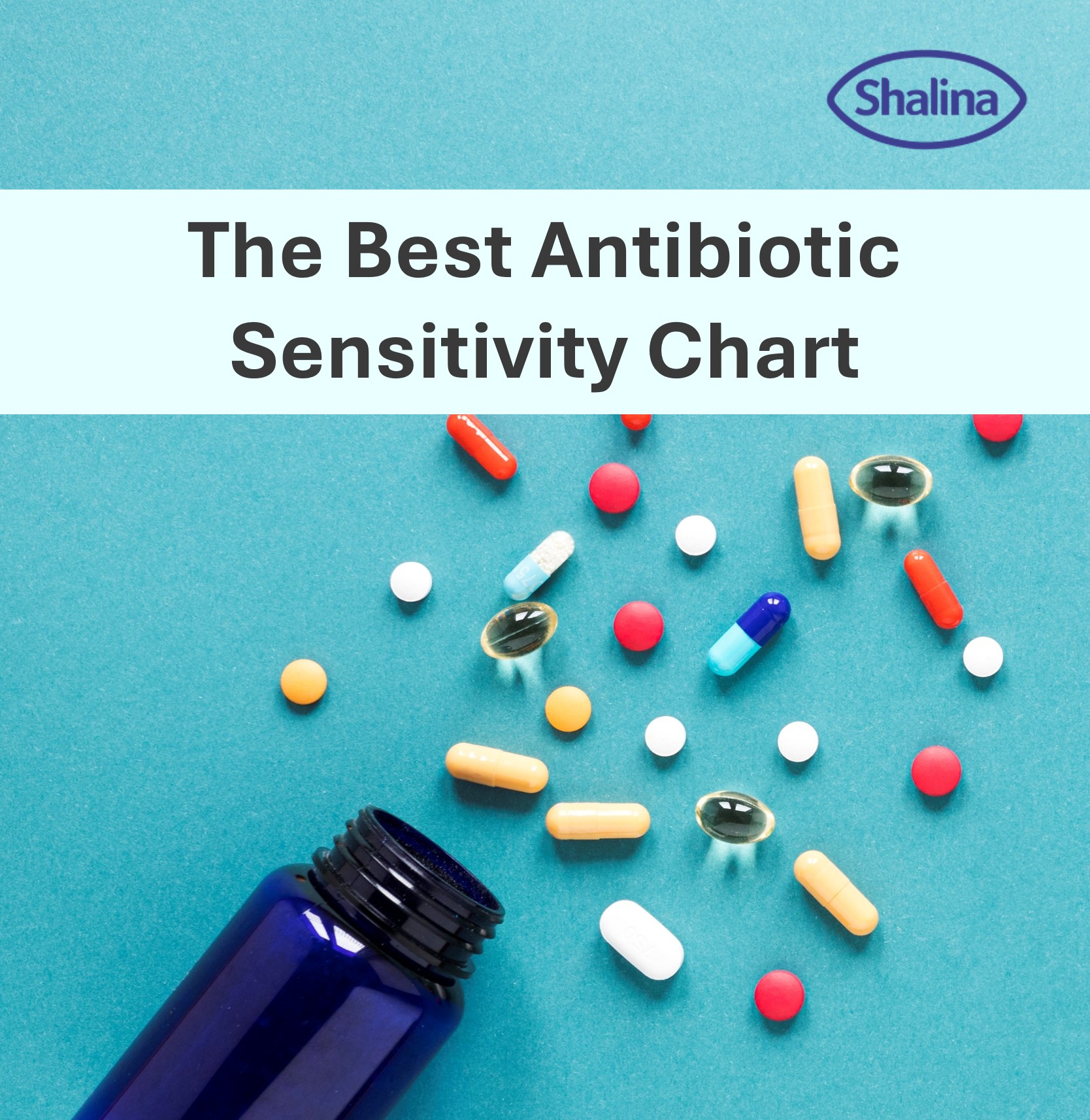 Best antibiotic_thumbnail