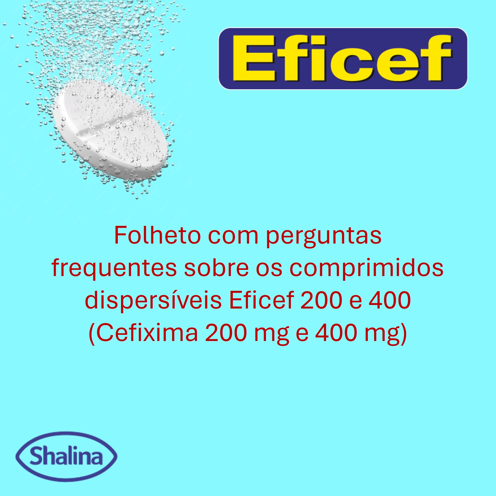 Eficef_thmbnl